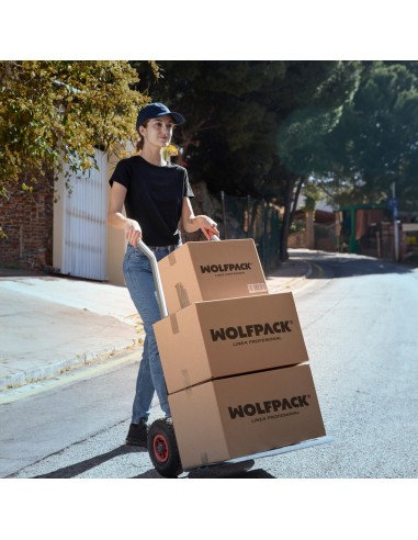 Carretilla Almacen / Sacos Aluminio Rueda Neumática