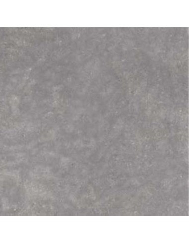 PAVIMENTO PR MINERAL GRIS 45,6X45,6.