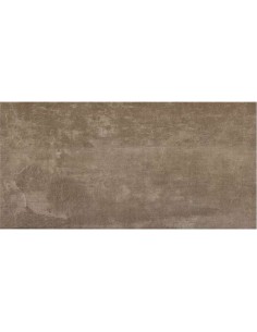 AZULEJO PR SMART TAUPE 25X50 CM