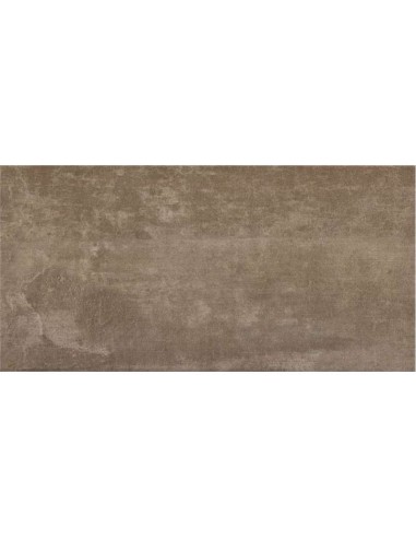 AZULEJO PR SMART TAUPE 25X50 CM