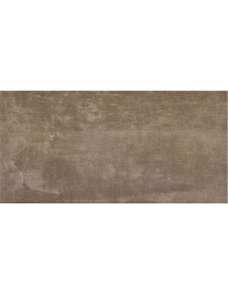 AZULEJO PR SMART TAUPE 25X50 CM