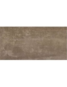 AZULEJO PR SMART TAUPE 25X50 CM 2