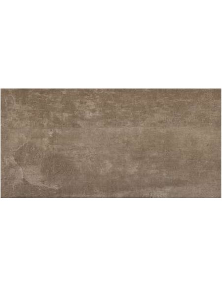 AZULEJO PR SMART TAUPE 25X50 CM