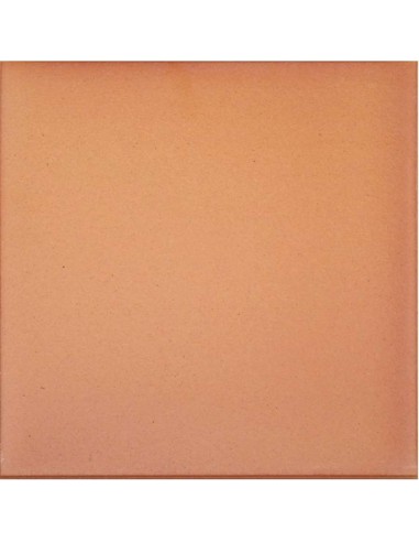 PAVIMENTO KLINKER 25X25 NATURAL 25X25