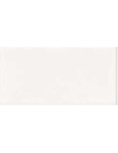 AZULEJO PR BLANCO LISO BRILLO 10X20