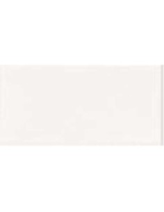 AZULEJO PR BLANCO LISO BRILLO 10X20 2