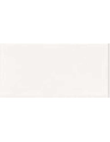 AZULEJO PR BLANCO LISO BRILLO 10X20
