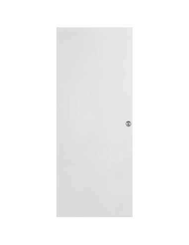 HOJA CORREDERA LACADA MACIZA LISA 2030X825X35 PICO LORO