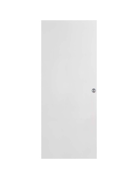 HOJA CORREDERA LACADA MACIZA LISA 2030X825X35 PICO LORO