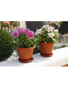 MACETA PLASTICA REDONDA 25CM