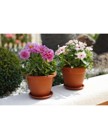 MACETA PLATO PLASTICO REDONDA 16CM