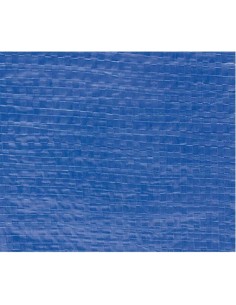 TOLDO LONA MULTIUSOS AZUL 10X14