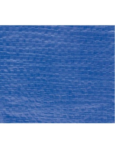 TOLDO LONA MULTIUSOS AZUL 10X14