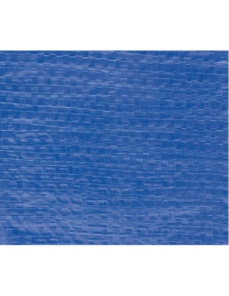 TOLDO LONA MULTIUSOS AZUL 10X14