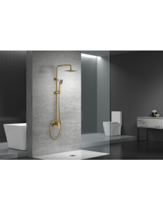 CONJUNTO DUCHA MONOMANDO ART ORO CEPILLADO 2