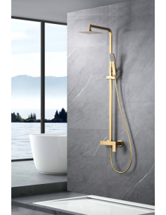 CONJUNTO DUCHA MONOMANDO PISA ORO CEPILLADO 2