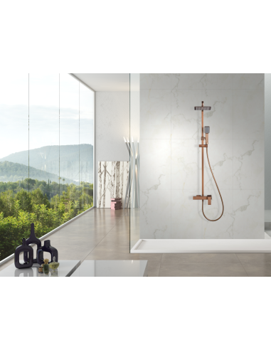 CONJUNTO DUCHA MONOMANDO PISA ORO ROSA CEPILLADO PISA / CAT